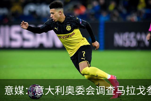 意媒：意大利奥委会调查马拉戈参选足协主席资格问题